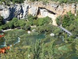 23. pogled